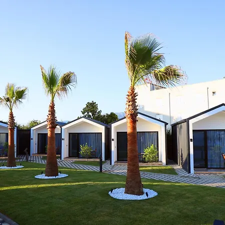 Hotel Palma Airport