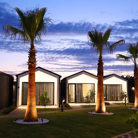 Hotel Palma Airport
