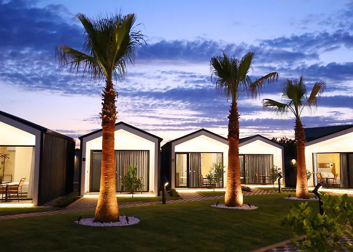 Hotel Palma Airport
